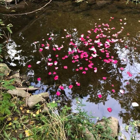 Meet your Posher, Deb - Picture 1 of 1